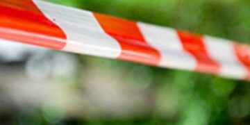 Pericia, investigación y búsqueda