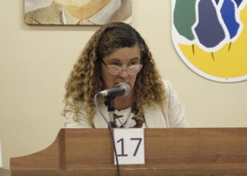 Presupuesto e informes