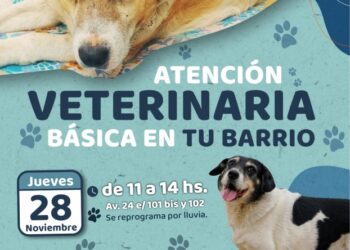 Nueva jornada de atención básica veterinaria en barrios