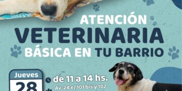 Nueva jornada de atención básica veterinaria en barrios