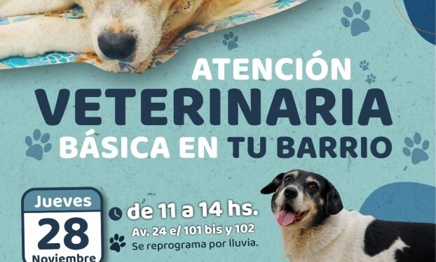 Nueva jornada de atención básica veterinaria en barrios