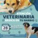 Nueva jornada de atención básica veterinaria en barrios