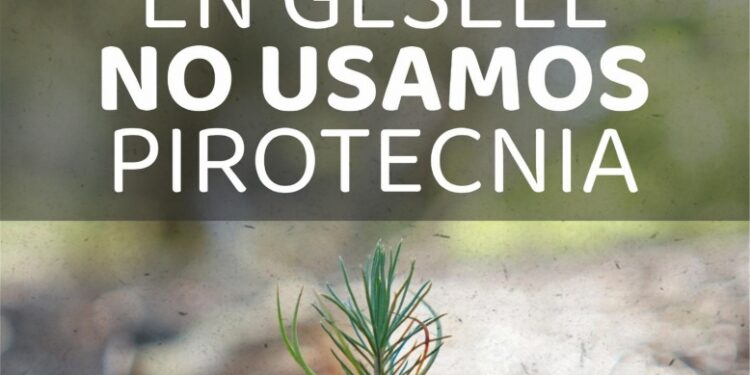 En Villa Gesell decimos NO A LA PIROTECNIA