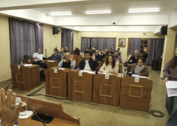 La emergencia económica con eje del debate