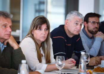 Estrategias par superar la crisis