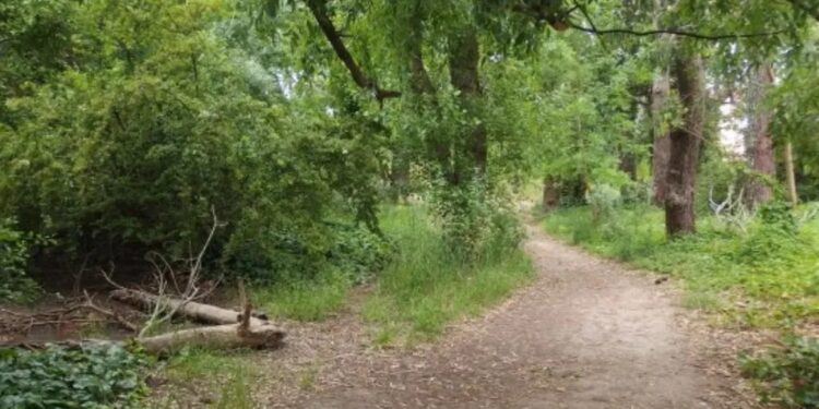 SE HALLÓ EL CUERPO SIN VIDA DE UNA PERSONA EN EL PINAR DEL NORTE