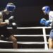 BOXEO. EXITOSO FESTIVAL ORGANIZADO POR “ESTIRPE” Y “TIBURONA ”