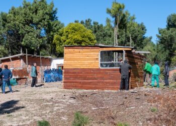 LAS CASAS EN SU LUGAR