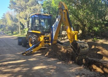 CUANDO LA PROLIJIDAD ES SEGURIDAD 