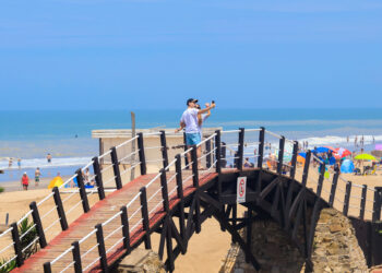 GESELL ES OTRA HISTORIA