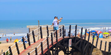 GESELL ES OTRA HISTORIA