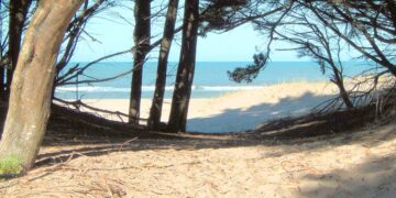 IDEAL PARA RECONECTAR CON LO ESENCIAL