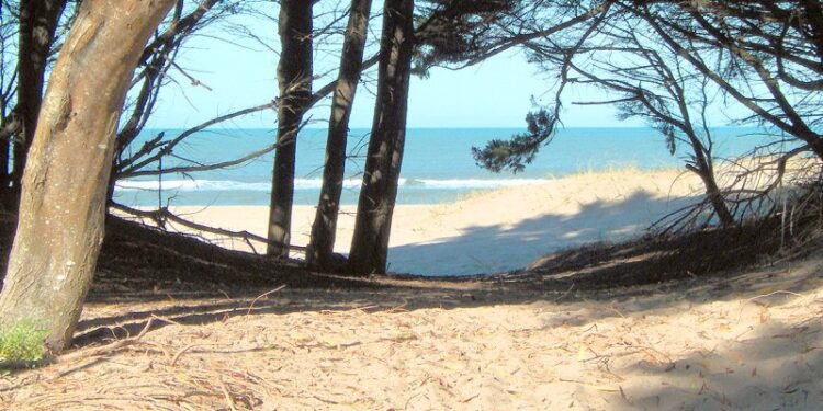 IDEAL PARA RECONECTAR CON LO ESENCIAL