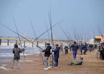 EXPECTATIVAS POR LA FIESTA NACIONAL DE LA BRÓTOLA