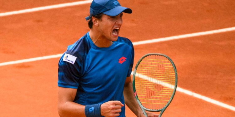 Entre los mejores 10 del mundo en polvo de ladrillo