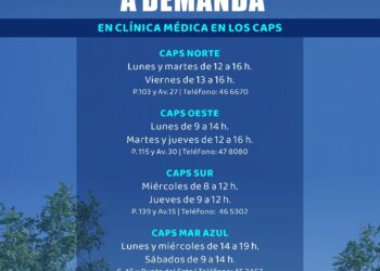 SALUD: ATENCIÓN A DEMANDA EN LOS CAPS