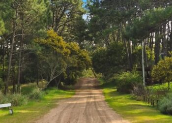 MAR DE LAS PAMPAS AVANZA HACIA EL RECONOCIMIENTO INTERNACIONAL