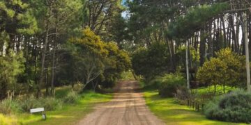 MAR DE LAS PAMPAS AVANZA HACIA EL RECONOCIMIENTO INTERNACIONAL