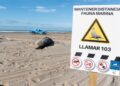ALERTA POR CICLOGÉNESIS Y ANIMALES VARADOS EN LA COSTA