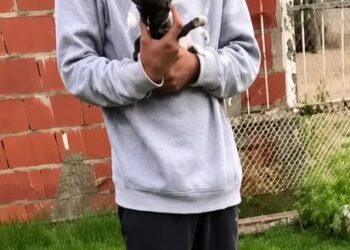 AVANZAN LAS ACCIONES TRAS EL CASO DE CRUELDAD ANIMAL