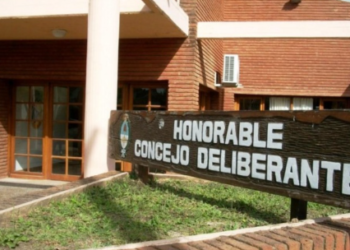 Concejos Deliberantes: del control vecinal al abuso del poder