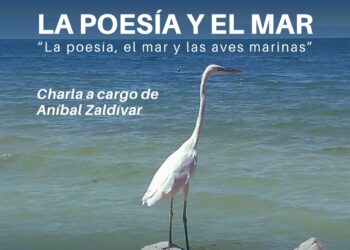 POESÍA JUNTO AL MAR