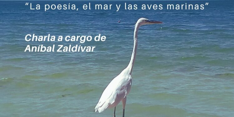 POESÍA JUNTO AL MAR