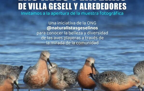 Nueva exposición en el #ChaletDeDonCarlos