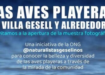Nueva exposición en el #ChaletDeDonCarlos